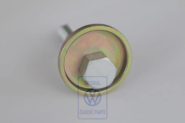 Exzenterschraube für VW T4