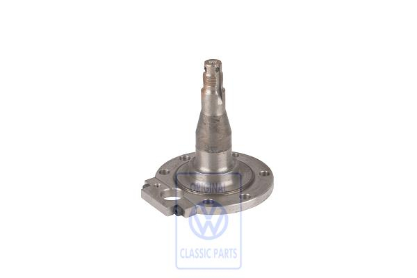 Achszapfen für Caddy