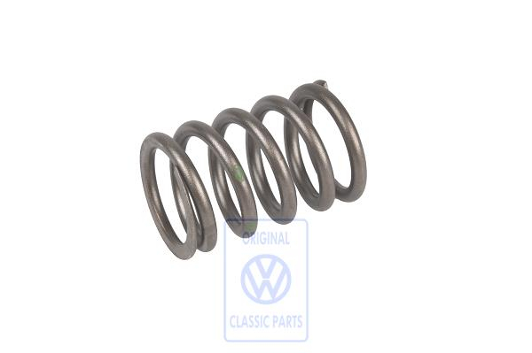 Valve spring for VW T3