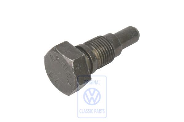 Bearing screw for VW T4