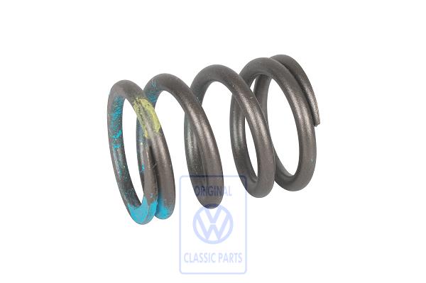 Valve spring
