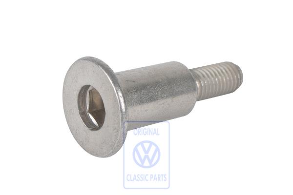 Cylinder fitting screw