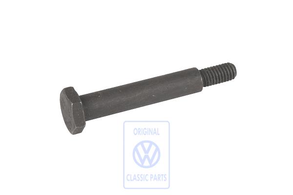 Locating bolt