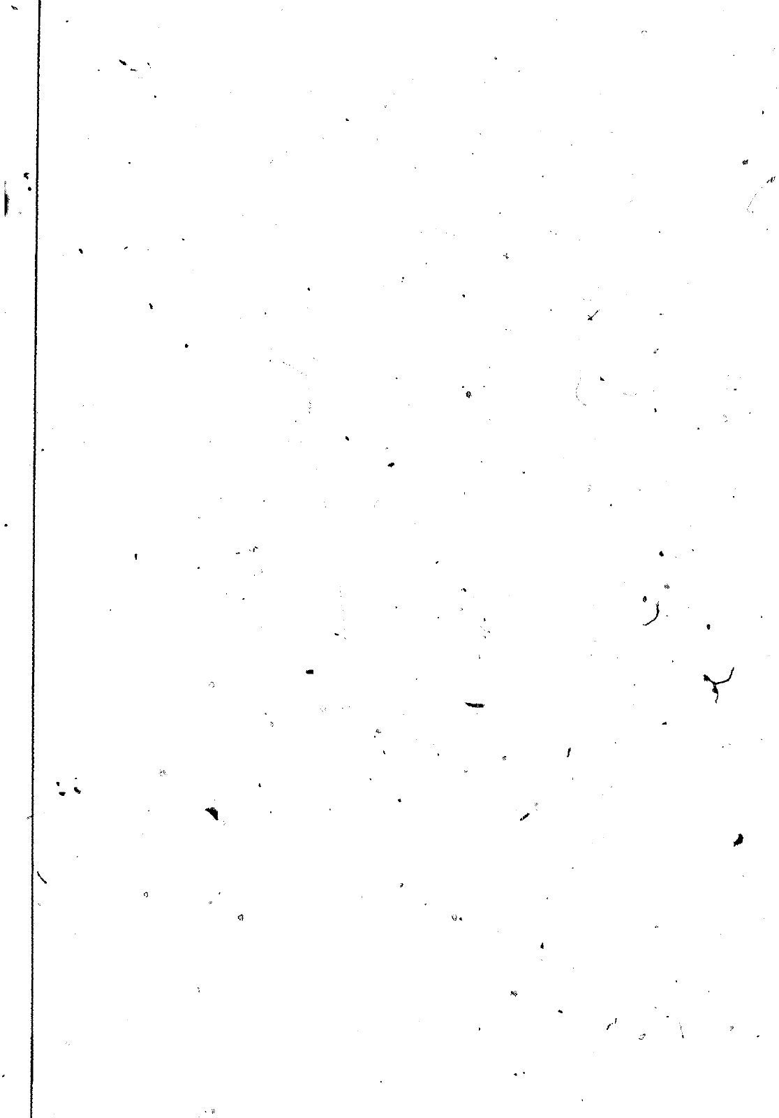 Vorschau VW 1302-1303 Seite 937