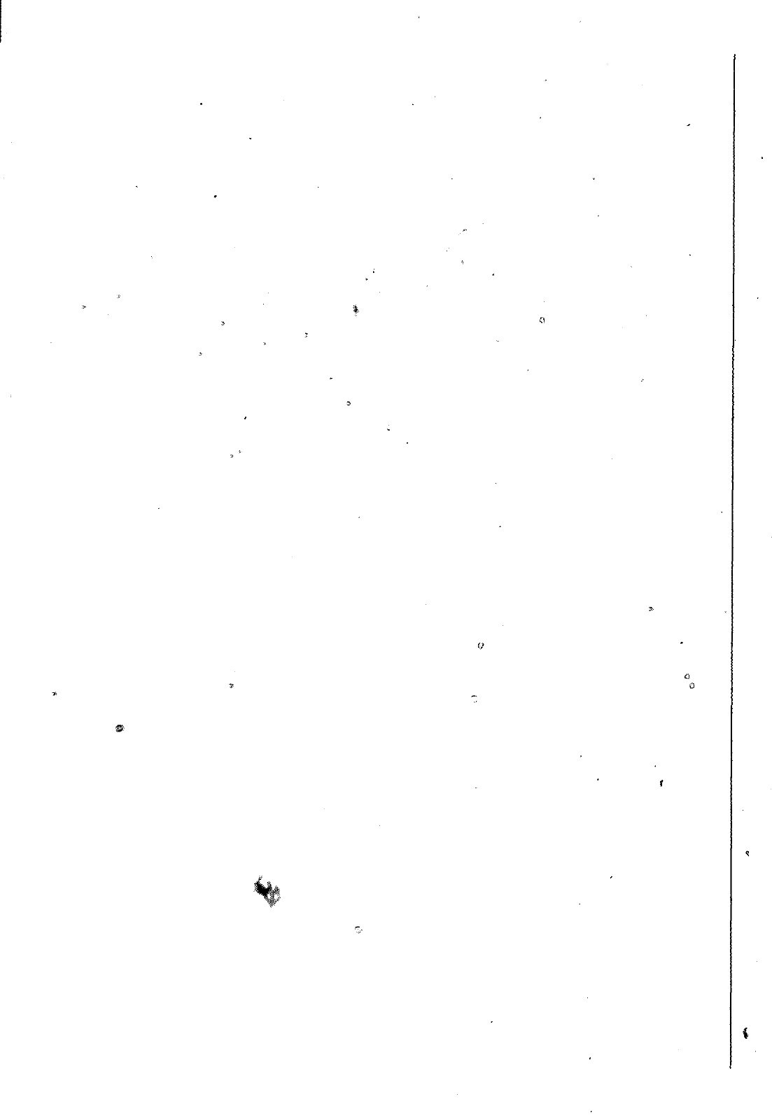 Vorschau VW 1200 F 118 2100 001> Seite 93