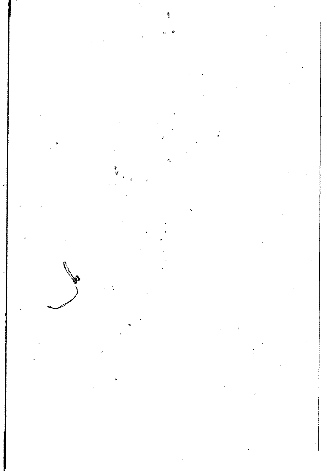 Vorschau VW 1200 F 118 2100 001> Seite 91