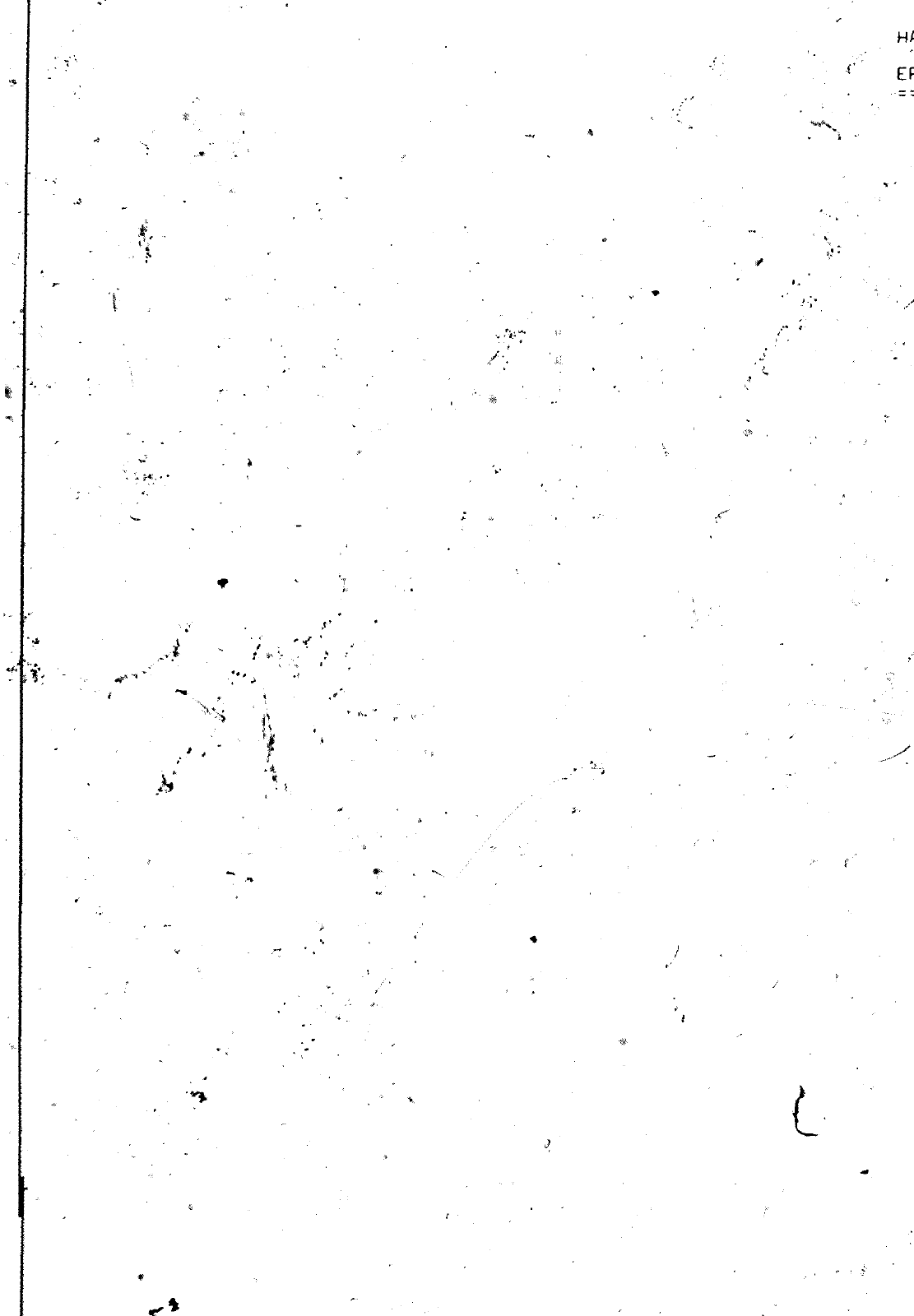 Vorschau VW 1200 1300 F-118 2050 000 Seite 429