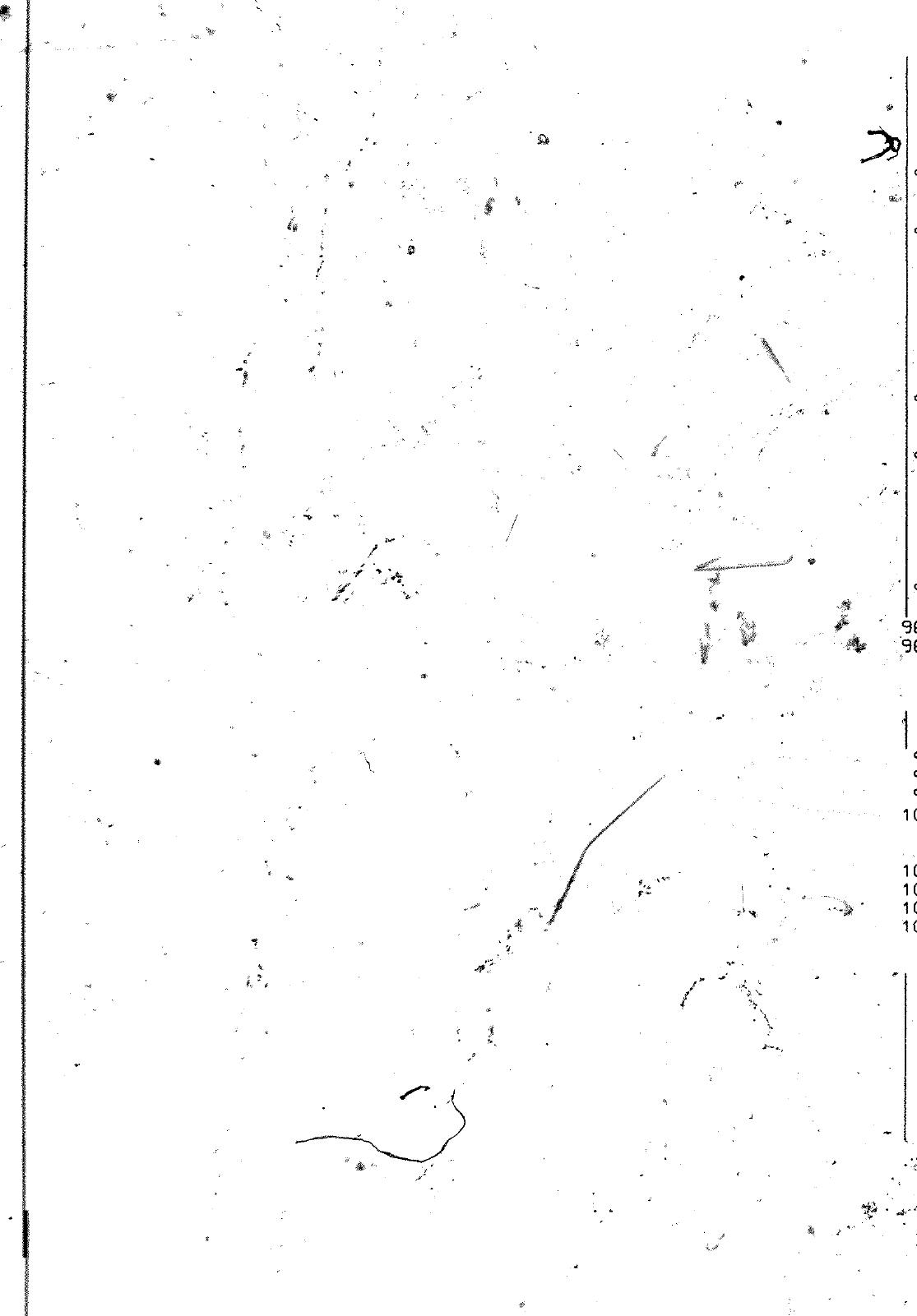 Vorschau VW 1200 1300 F-118 2050 000 Seite 305