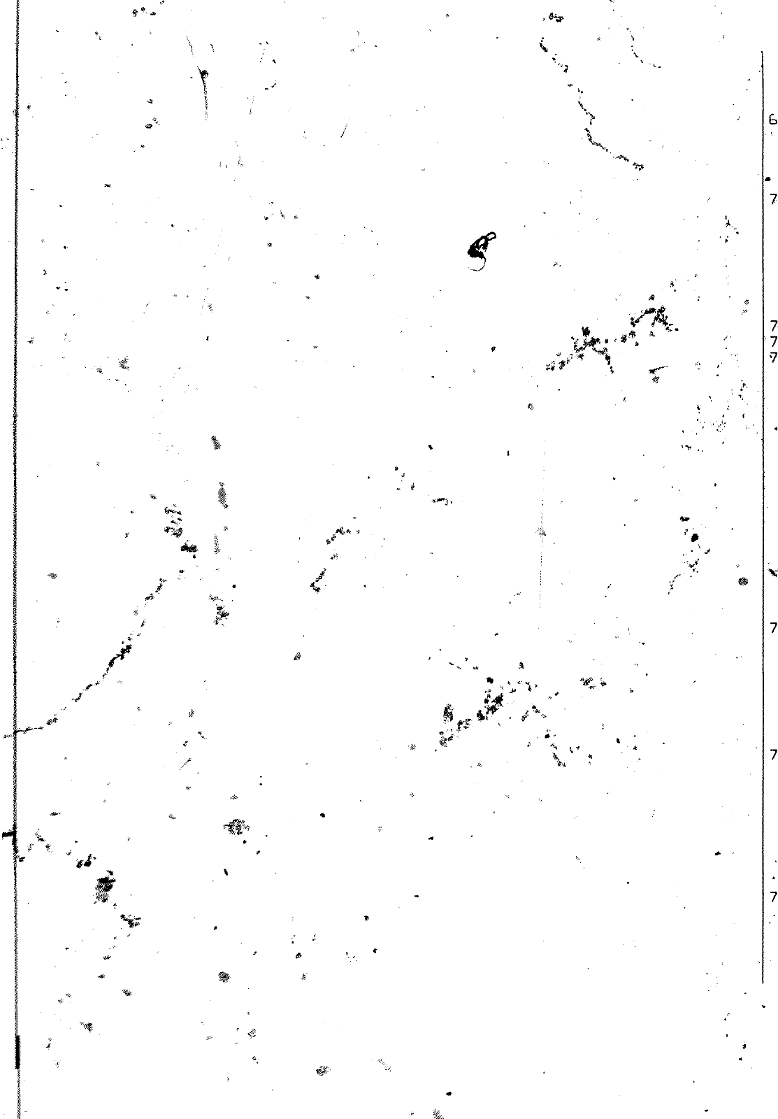 Vorschau VW 1200 1300 F-118 2050 000 Seite 301