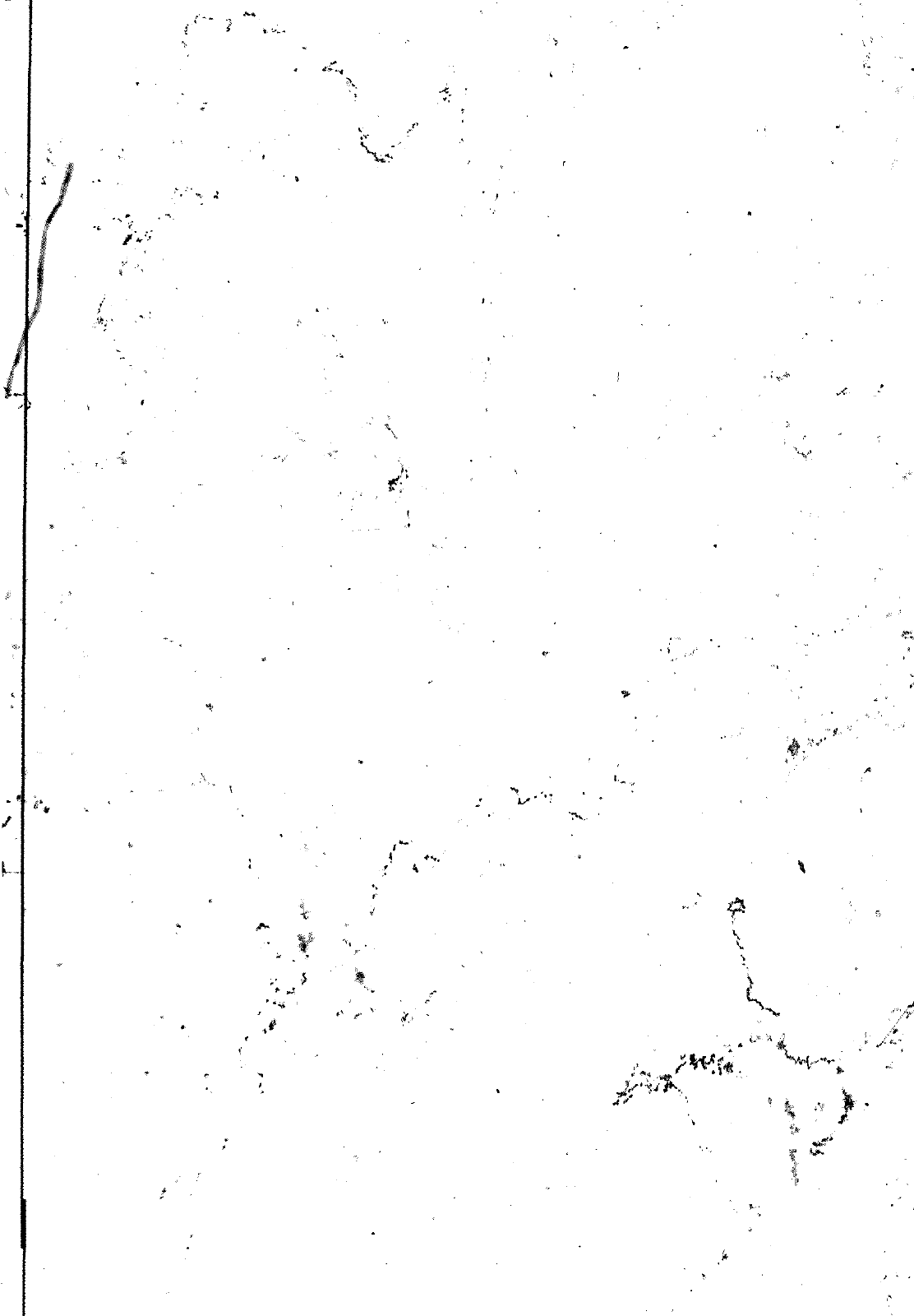 Vorschau VW 1200 1300 F-118 2050 000 Seite 441