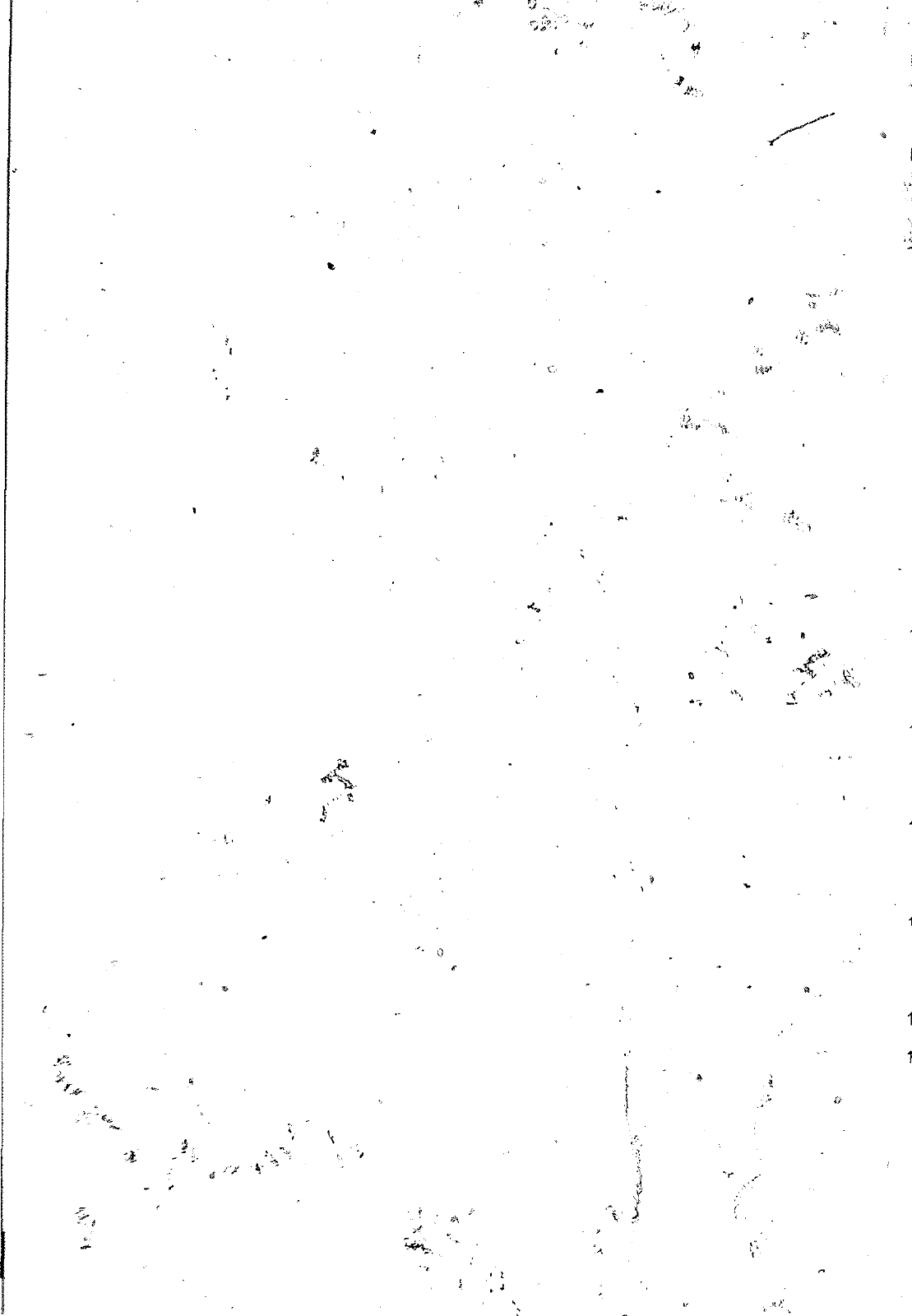 Vorschau VW 1200 1300 F-118 2050 000 Seite 1145