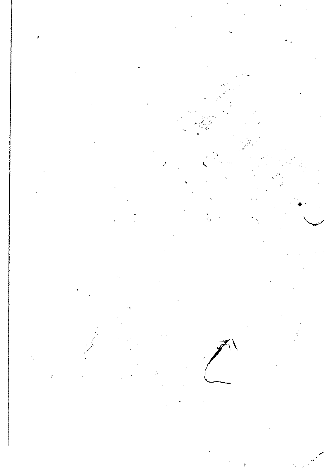 Vorschau VW 1200 1300 F-118 2050 000 Seite 707