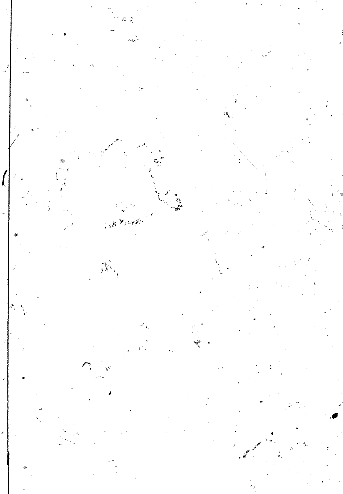 Vorschau VW 1200 1300 F-118 2050 000 Seite 437