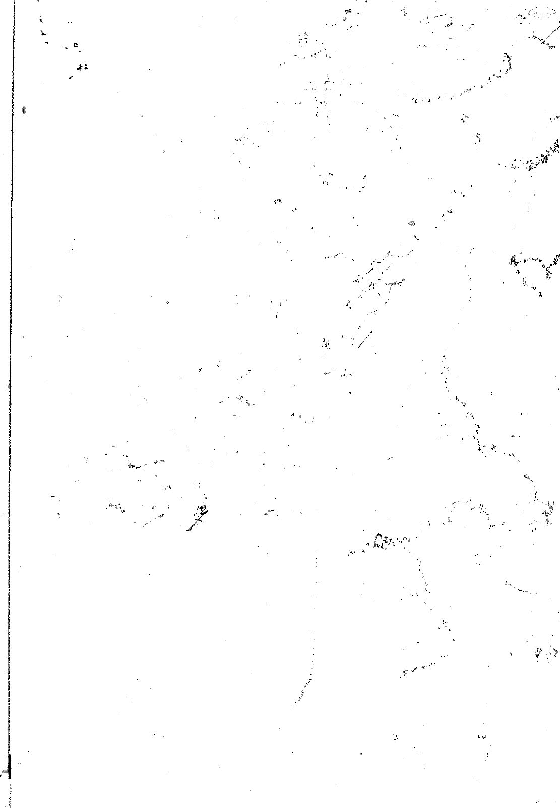 Vorschau VW 1200 1300 F-118 2050 000 Seite 531