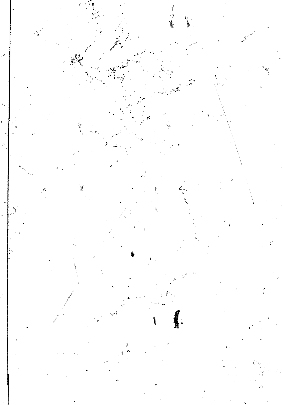 Vorschau VW 1200 1300 F-118 2050 000 Seite 435