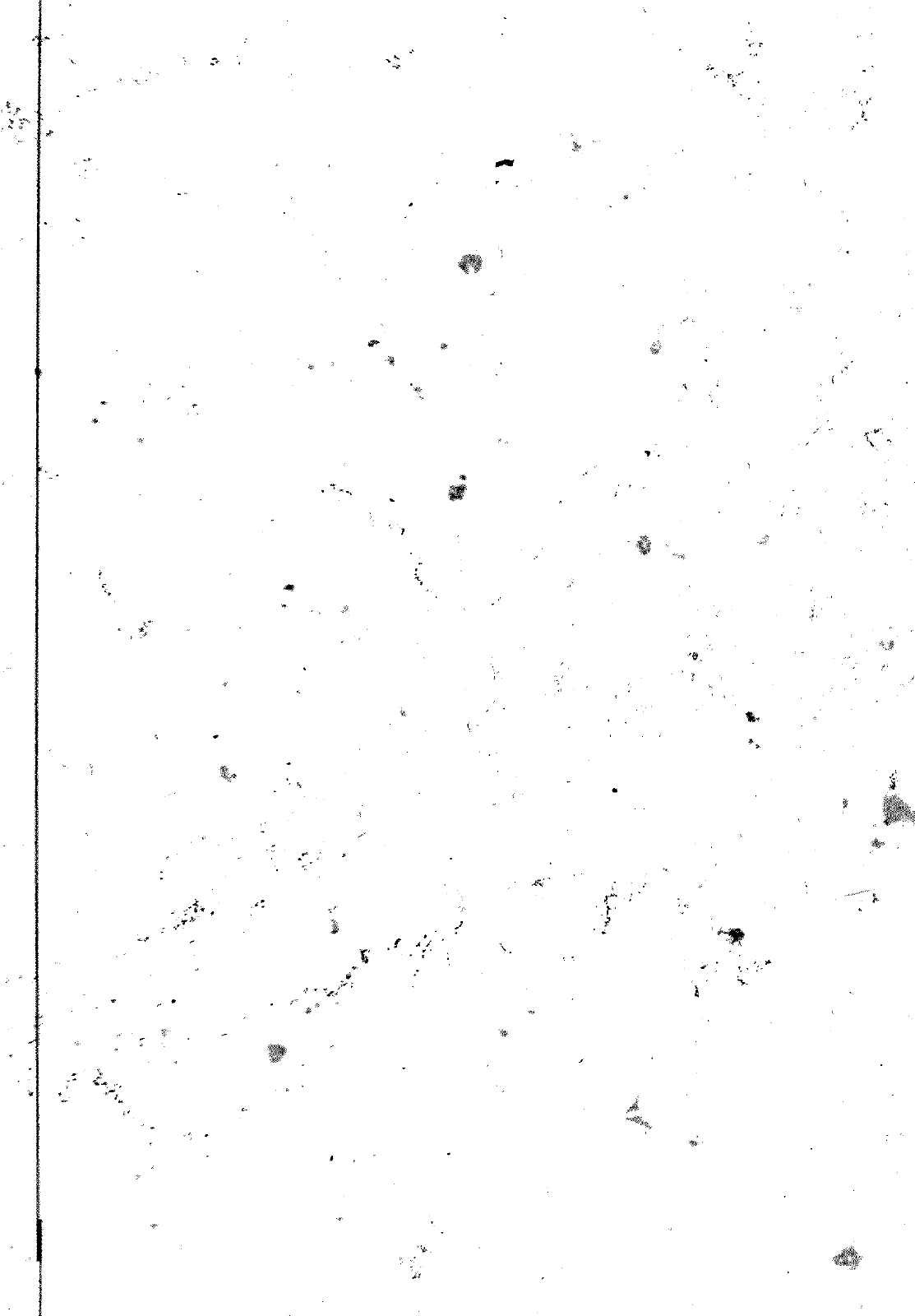 Vorschau VW 1200 1300 F-118 2050 000 Seite 291