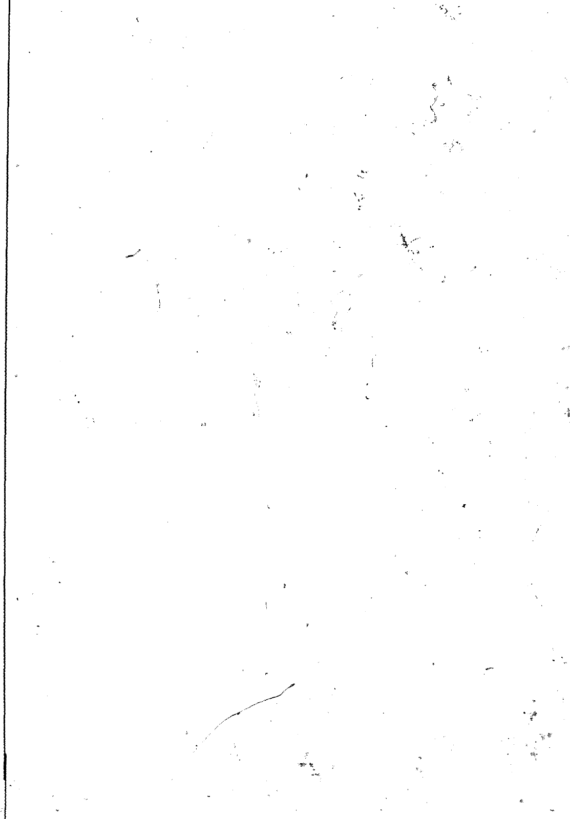 Vorschau VW 1200 1300 F-118 2050 000 Seite 1113