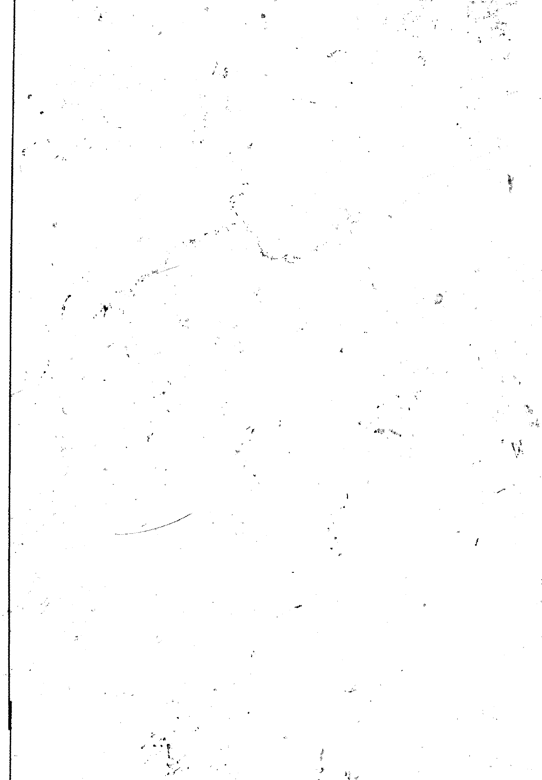 Vorschau VW 1200 1300 F-118 2050 000 Seite 433