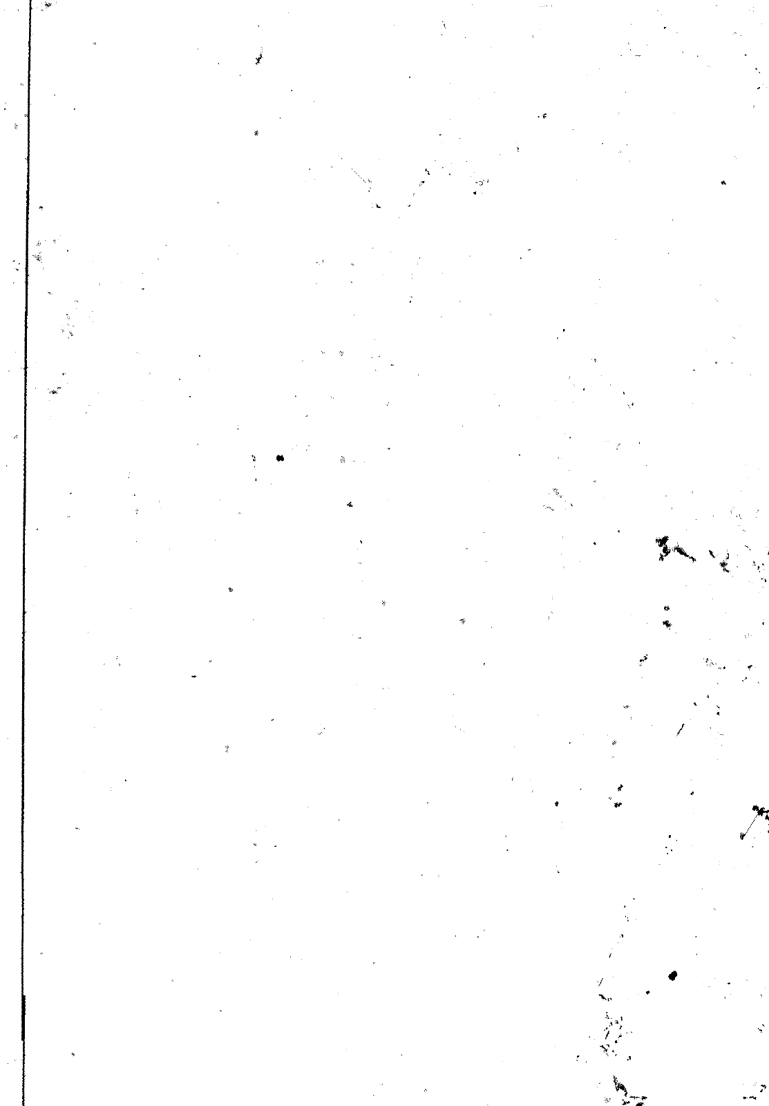 Vorschau VW 1200 1300 F-118 2050 000 Seite 447