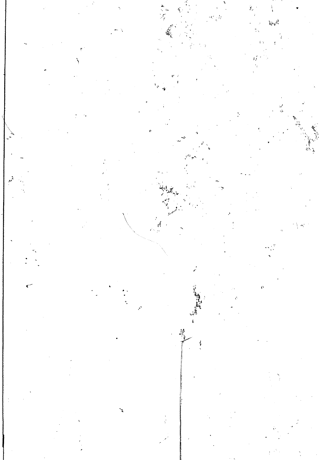 Vorschau VW 1200 1300 F-118 2050 000 Seite 1147