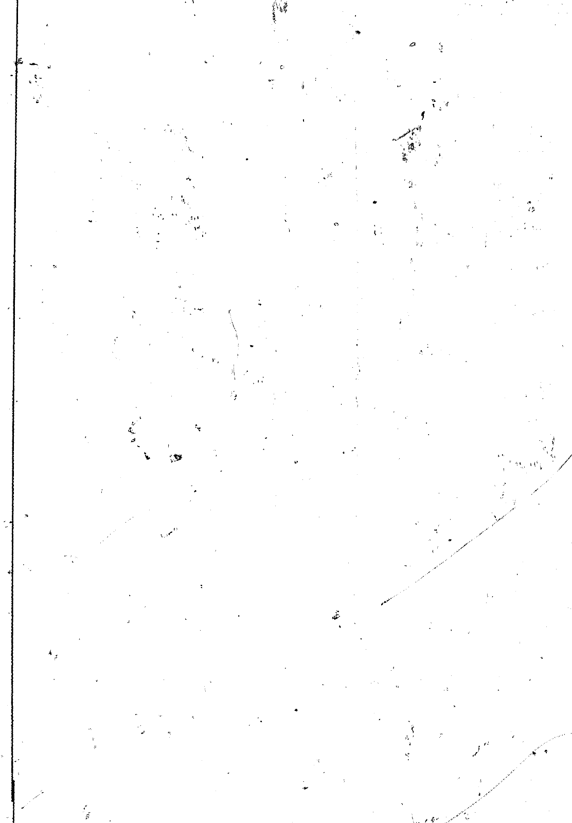 Vorschau VW 1200 1300 F-118 2050 000 Seite 1173