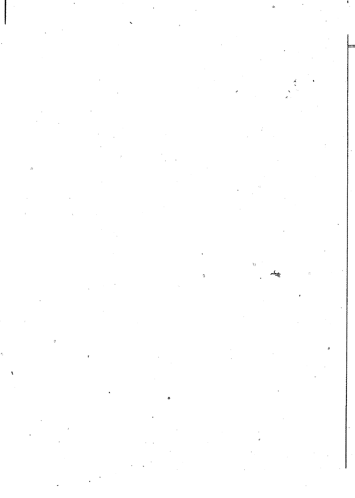 Vorschau Polo Mod 95-99 Seite 329